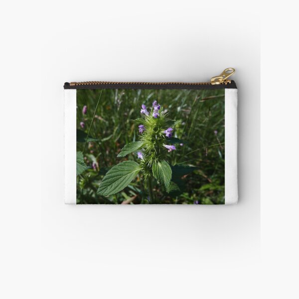 Item preview, Common Hemp-nettle (Galeopsis tetrahit) designed and sold by IOMWildFlowers.