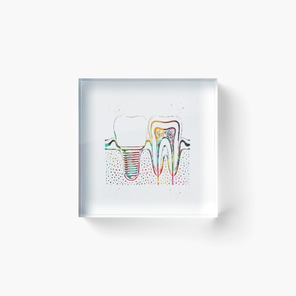Item preview, Human teeth and dental implant designed and sold by Liededrom..