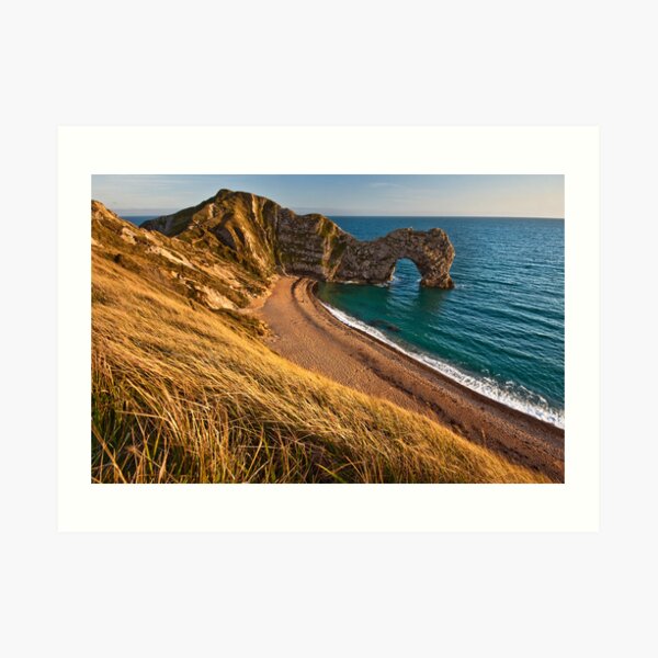 Swaying grass at Durdle door Art Print