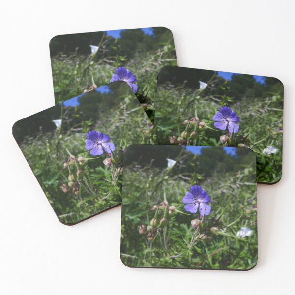 Item preview, Meadow Cranesbill (Geranium pratense) designed and sold by IOMWildFlowers.