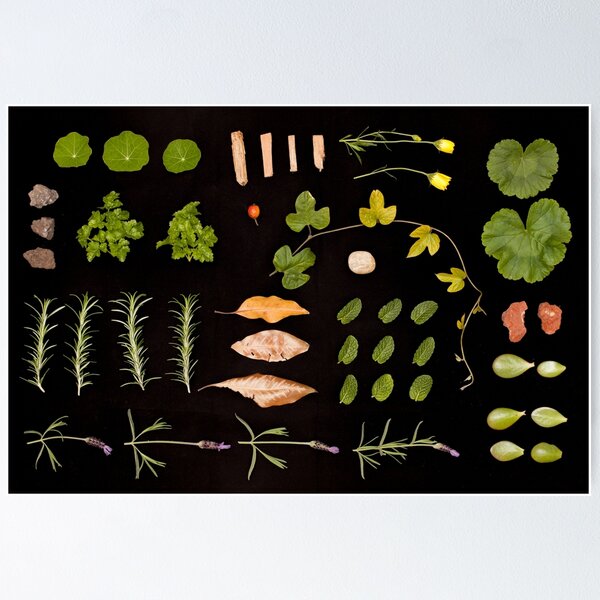 Item preview, Deconstructed Garden designed and sold by Vectorlicious.