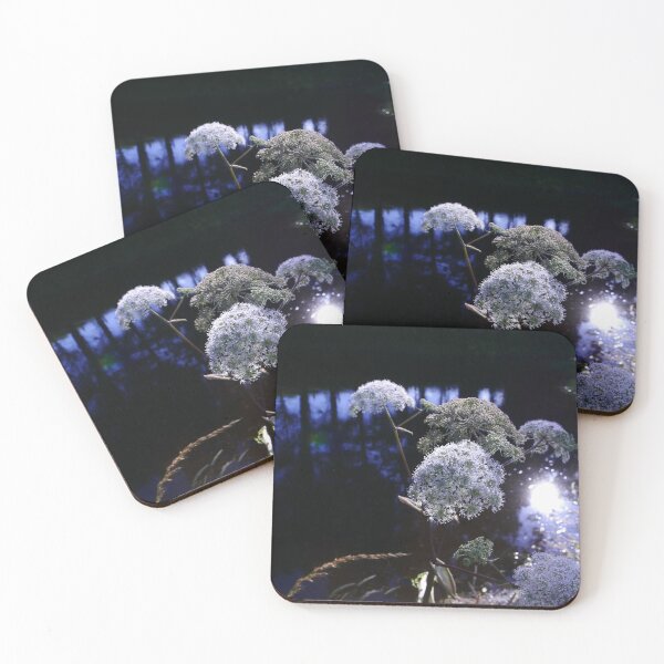 Item preview, Wild Angelica (Angelica sylvestris) designed and sold by IOMWildFlowers.