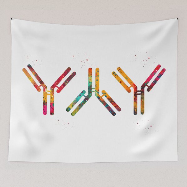Item preview, Antibody designed and sold by Liededrom..