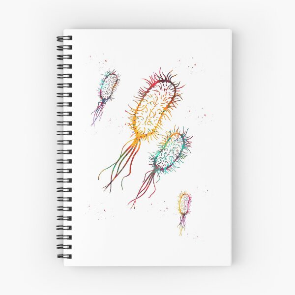 Item preview, Escherichia coli designed and sold by Liededrom..