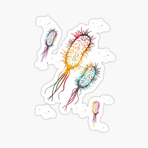 Item preview, Escherichia coli designed and sold by Liededrom..