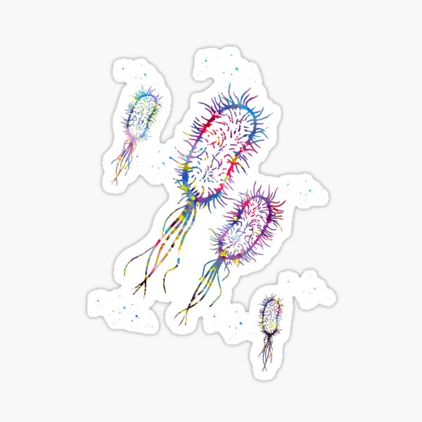 Item preview, Escherichia coli designed and sold by Liededrom..