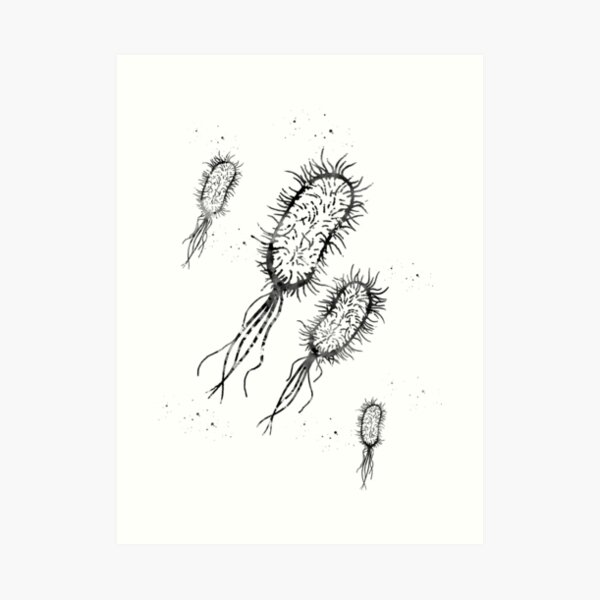 Art Mural Sur Le Theme Microscopie Bact C3 A9riophage Redbubble