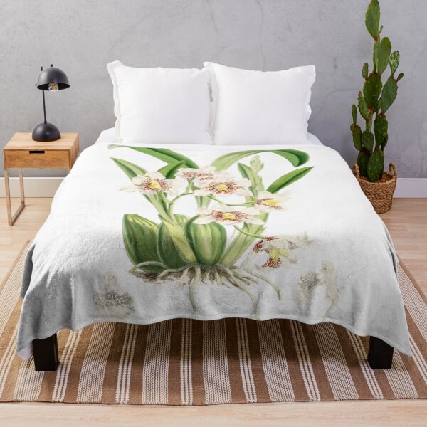 Item preview, Odontoglossum nebulosum orchid designed and sold by 12points.