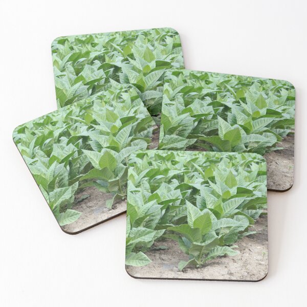 Item preview, Tobacco plants in a field designed and sold by Zosimus.