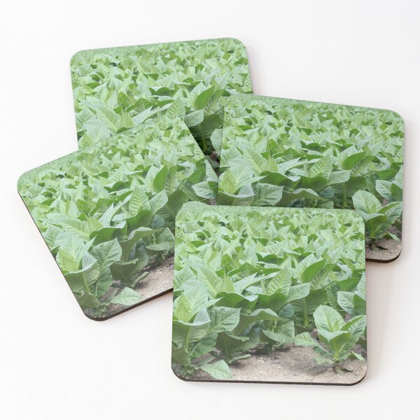 Item preview, Tobacco plants, Nicotiana tabacum, in a field designed and sold by Zosimus.