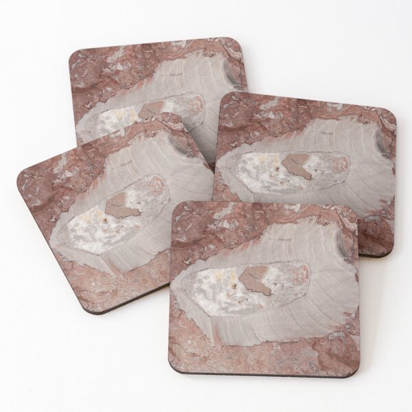 Item preview, Surface of a red limestone with large fossil fragments designed and sold by Zosimus.