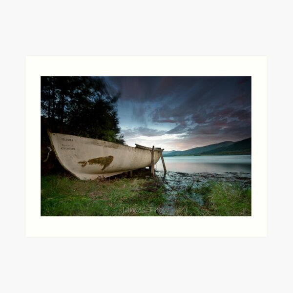 Columba Art Print