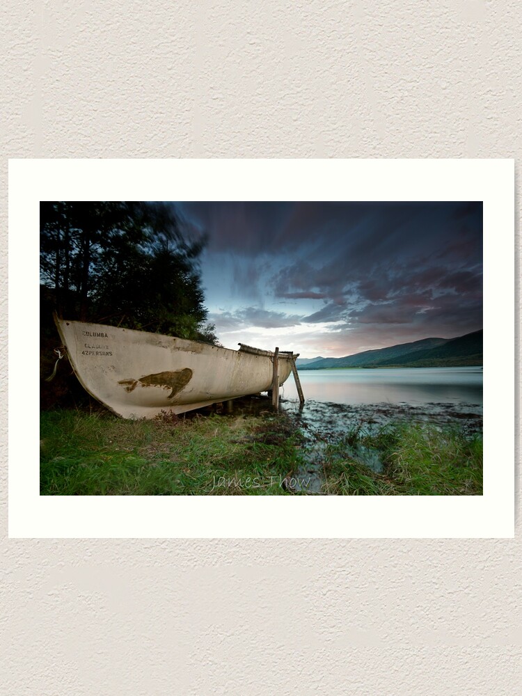 Alternate view of Columba Art Print