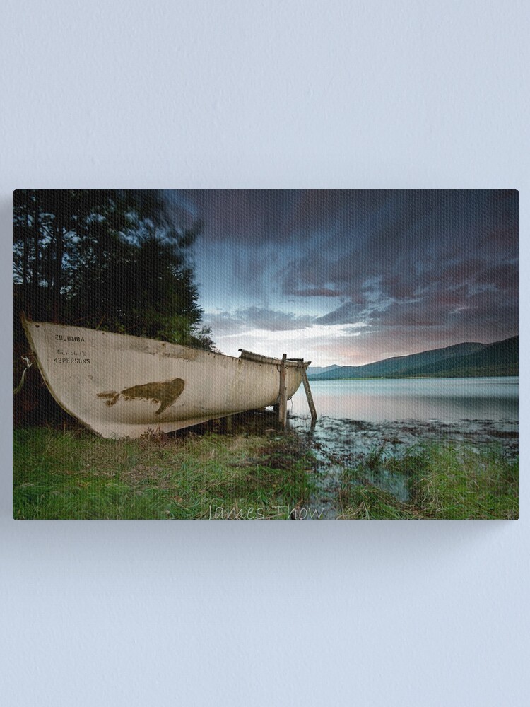 Alternate view of Columba Canvas Print