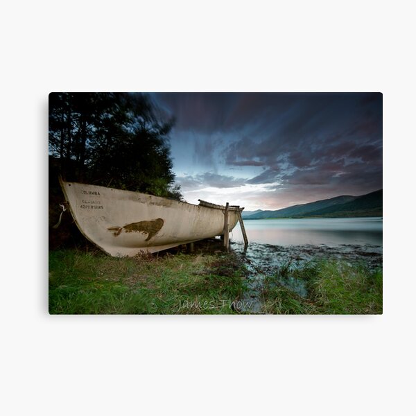 Columba Canvas Print