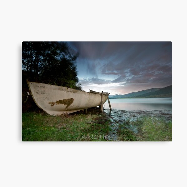 Columba Metal Print
