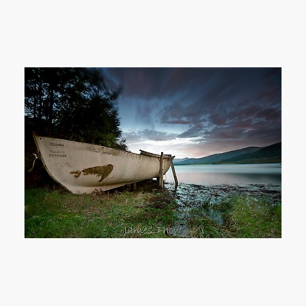 Columba Photographic Print