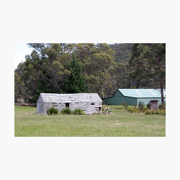 Item preview, Old Shed Port Arthur Tasmania designed and sold by PaulWJewell.