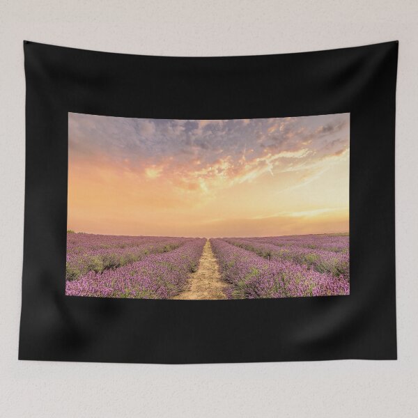 Item preview, LAVENDER FIELDS SUNSET designed and sold by lindaully.