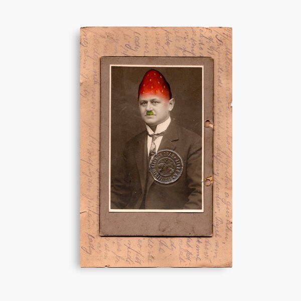 Repainted cabinet photo Canvas Print