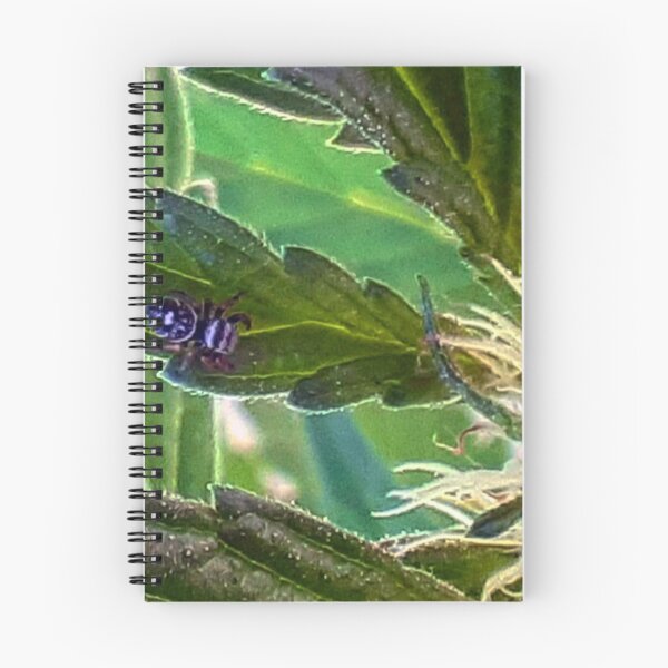 Item preview, Guardian of the plants designed and sold by BrandonBelarde.