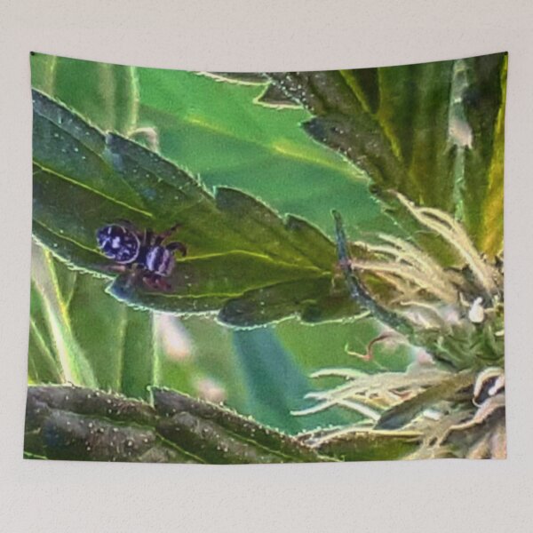 Item preview, Guardian of the plants designed and sold by BrandonBelarde.