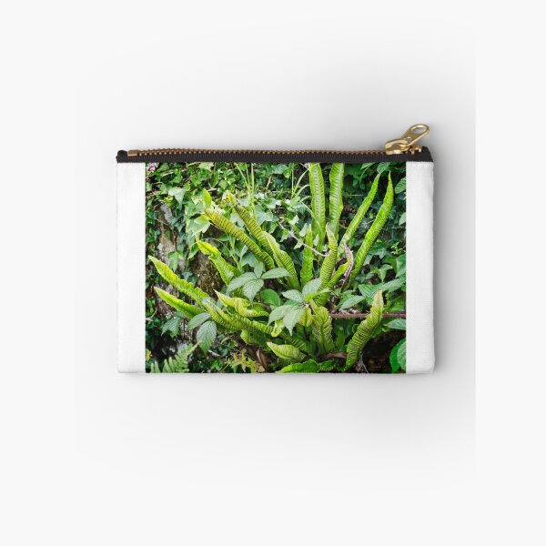 Item preview, A Bird's Nest Fern designed and sold by Colin Metcalf.