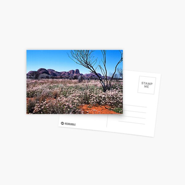 Kata Tjuta Vista II Postcard