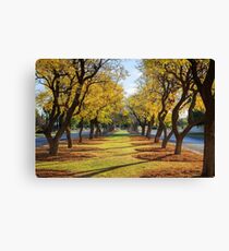 Wentworth Streetscape Canvas Print