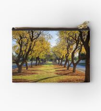 Wentworth Streetscape Studio Pouch