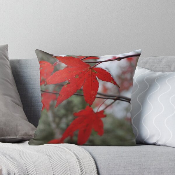 Item preview, Red maple  designed and sold by TwoShoes.