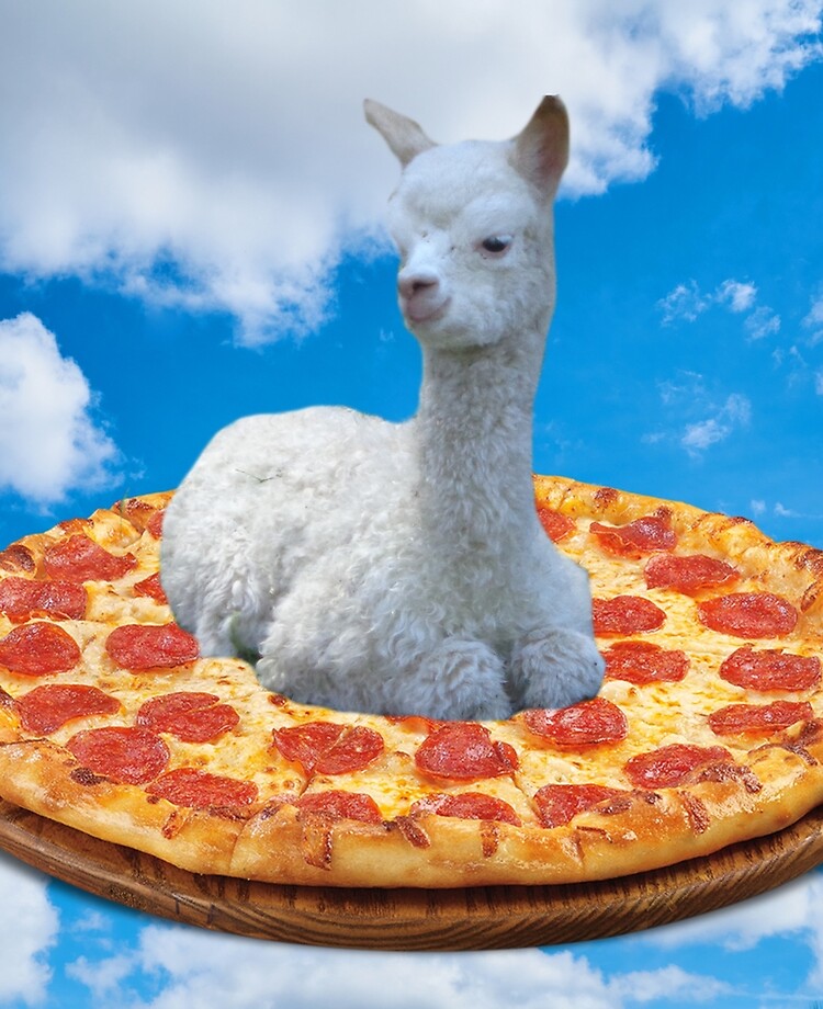 Pizza Llama\