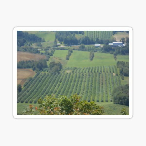 Item preview, Annapolis Valley, Nova Scotia designed and sold by dutchiens.