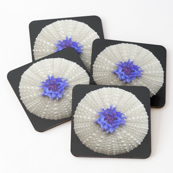 Item preview, sea urchin and cornflower designed and sold by 3magpielane.