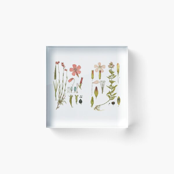Item preview, Vintage Botanical Flower Chart designed and sold by bohoDecor.
