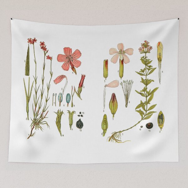 Item preview, Vintage Botanical Flower Chart designed and sold by bohoDecor.