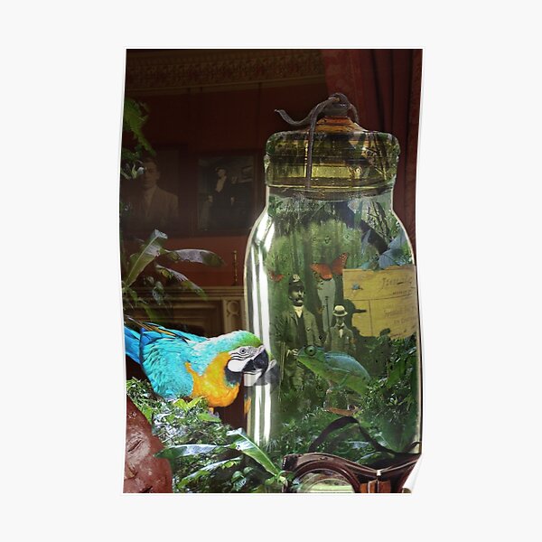 Jungle In A Bottle Poster