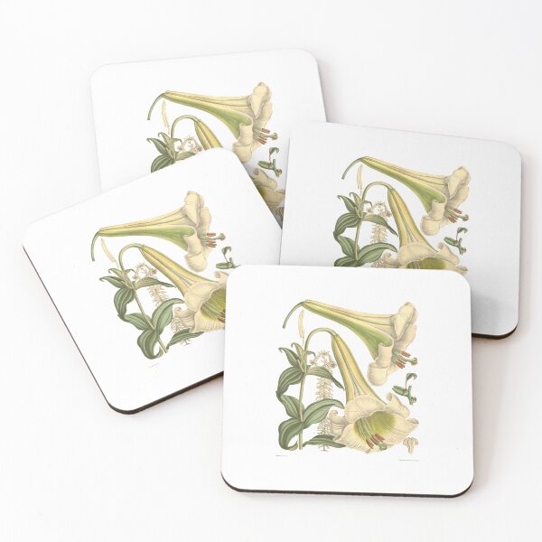 Item preview, Cuadro de flores botánicas vintage designed and sold by bohoDecor.
