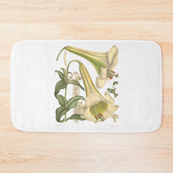 Item preview, Vintage Botanical Flower Chart designed and sold by bohoDecor.