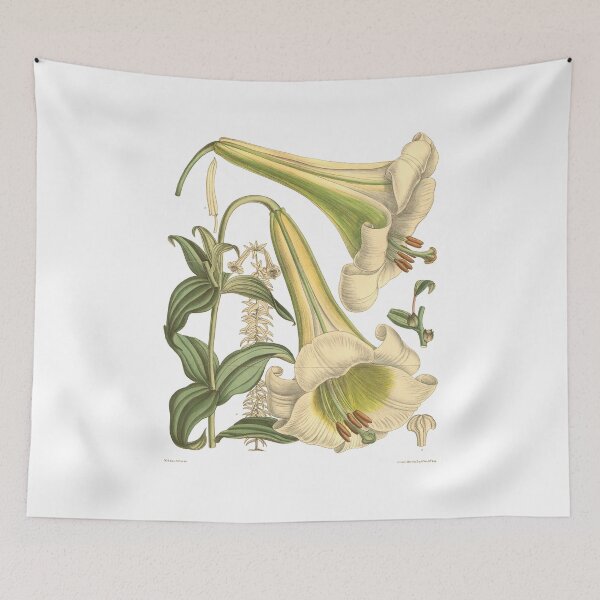 Item preview, Vintage Botanical Flower Chart designed and sold by bohoDecor.