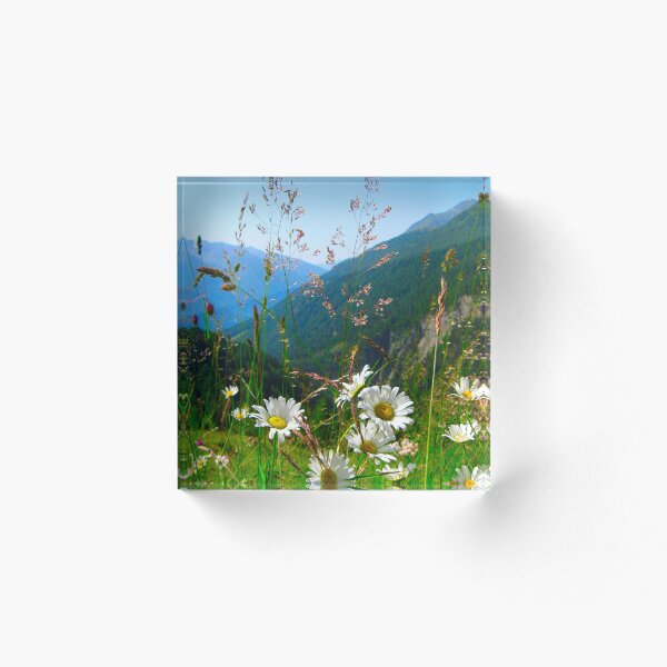 Item preview, Ox-eye daisy designed and sold by Shoshina.