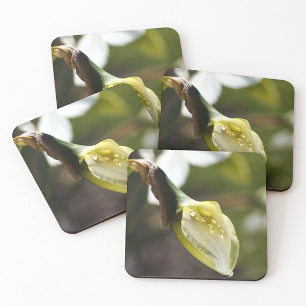 Item preview, Daffodil Bud About To Grow Up designed and sold by Joy Watson - Natural Light Photography .