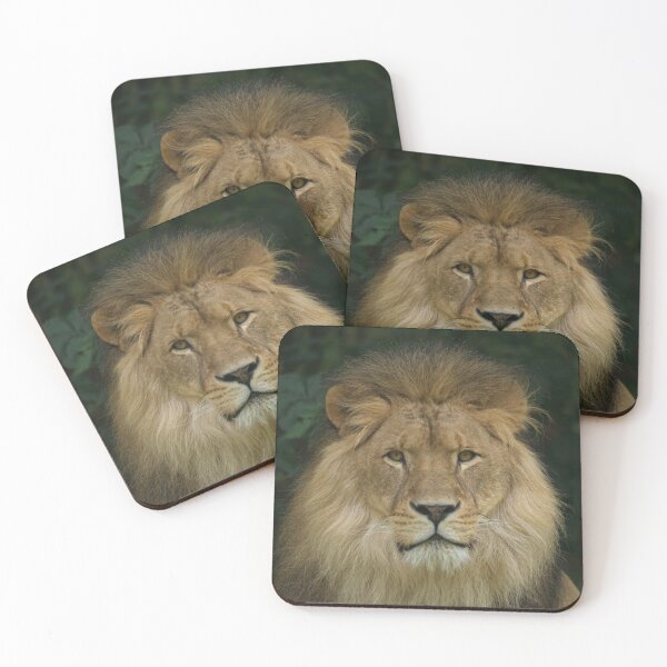 Item preview, Majestic Lion designed and sold by rawshutterbug.