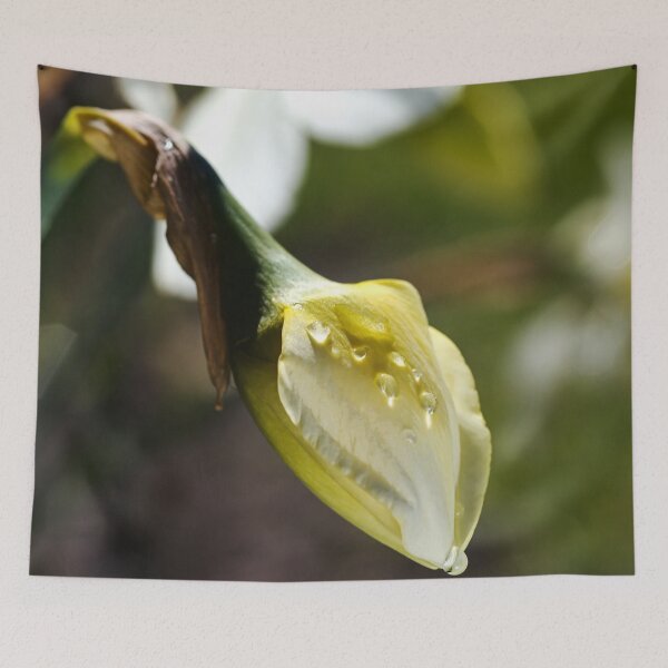 Item preview, Daffodil Bud About To Grow Up designed and sold by Joy Watson - Natural Light Photography .