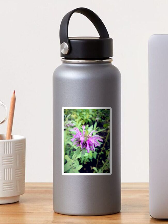 Thumbnail 1 von 3, Sticker, Zitronen-Monarde designt und verkauft von Gourmetkater.