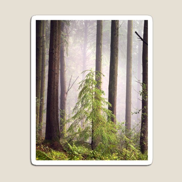 NEW HOPE - Idless Woods, Cornwall Magnet