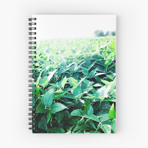 Item preview, SOYBEAN FIELD designed and sold by Pauline Evans.