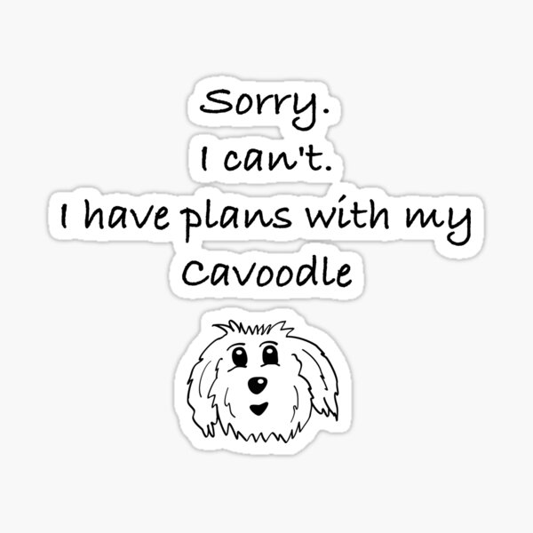 Item preview, Sorry I can't, I have plans with my cavoodle designed and sold by OodleWear.