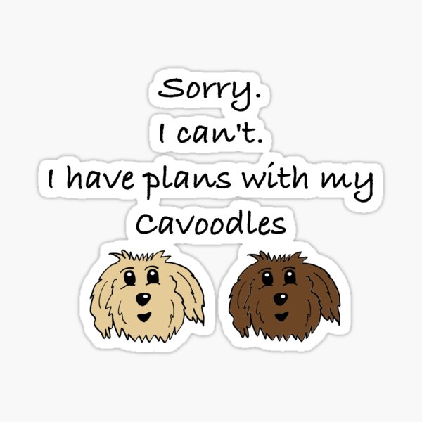Item preview, Sorry I can't I have plans with my cavoodles designed and sold by OodleWear.