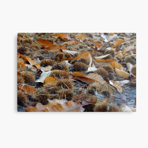 Herbst Erinnerungen Metallbild